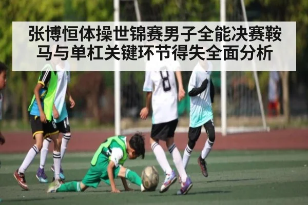 张博恒体操世锦赛男子全能决赛鞍马与单杠关键环节得失全面分析